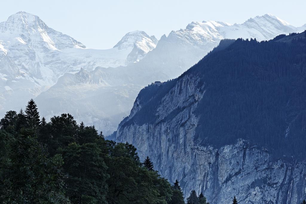 Hotel Alpenrose Wengen - A Family Affair Since 1881 Exterior foto