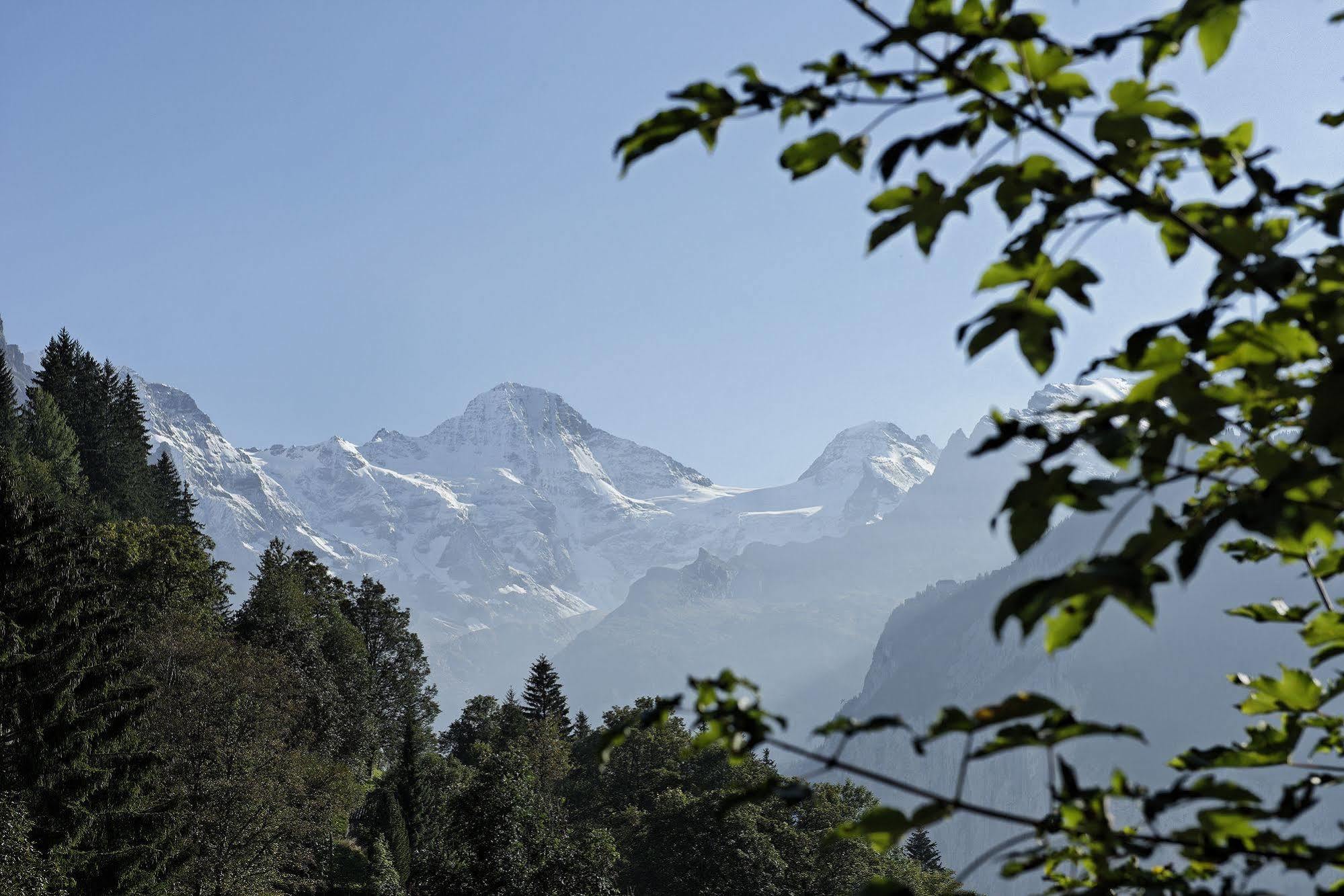 Hotel Alpenrose Wengen - A Family Affair Since 1881 Exterior foto